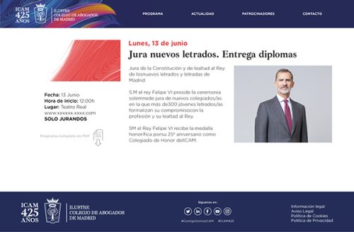 WEB 425 PAGINAS PROGRAMA